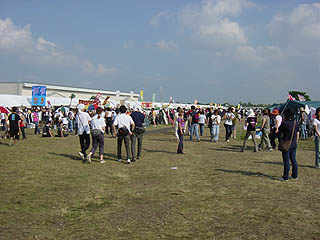 Green Oasis���̉���Q