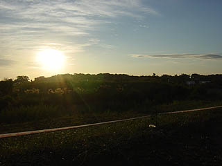 ���̏o����2