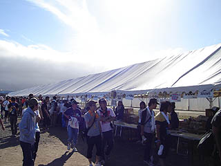 �A�[�e�B�X�g�O�b�Y�����